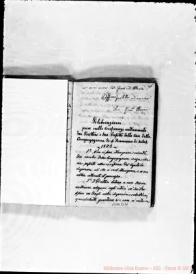 Fotogramma D 11