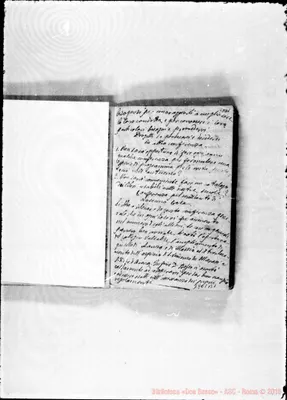 Fotogramma B 1