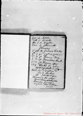 Fotogramma C 11