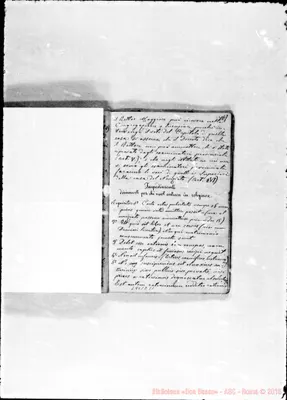 Fotogramma E 11