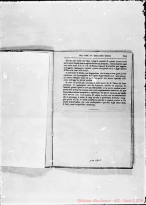 Fotogramma A 11