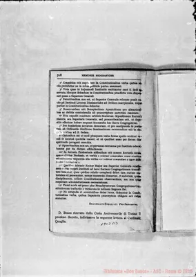 Fotogramma B 3