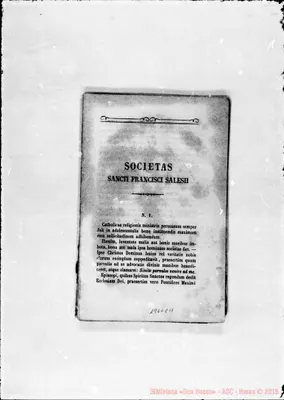 Fotogramma C 11
