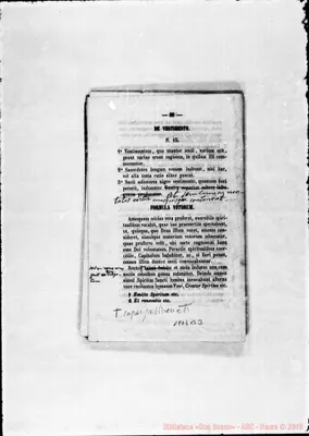 Fotogramma B 3