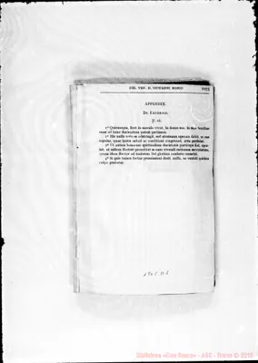 Fotogramma D 1