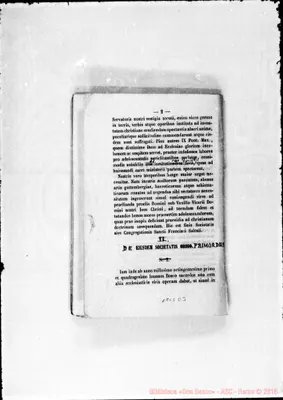 Fotogramma D 3