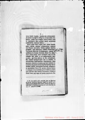 Fotogramma D 4