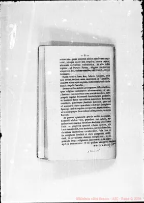 Fotogramma D 5