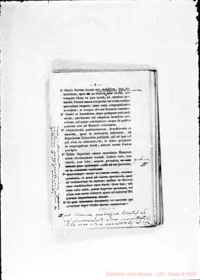 Fotogramma D 11