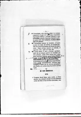 Fotogramma D 12
