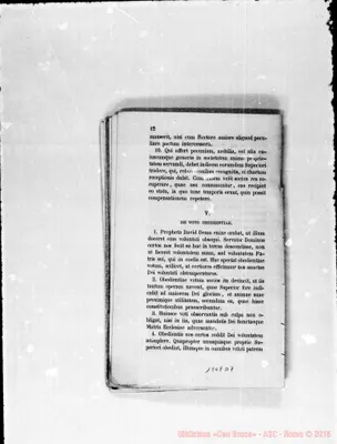 Fotogramma D 7