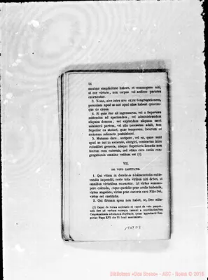 Fotogramma D 9