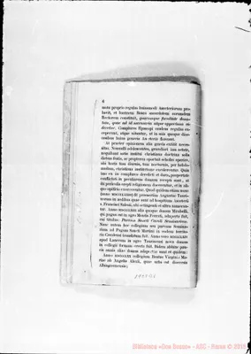 Fotogramma B 1