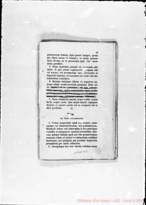 Fotogramma B 8