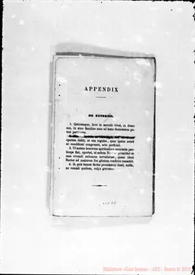 Fotogramma D 8