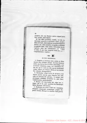 Fotogramma E 7