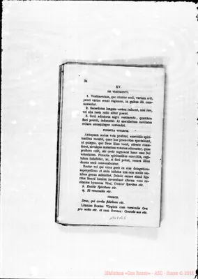 Fotogramma B 5