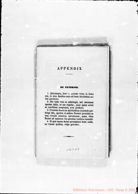 Fotogramma B 8