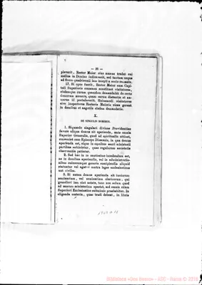 Fotogramma D 11