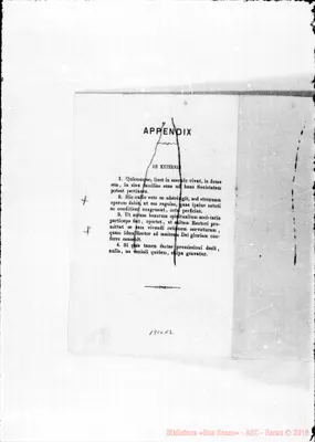 Fotogramma A 2
