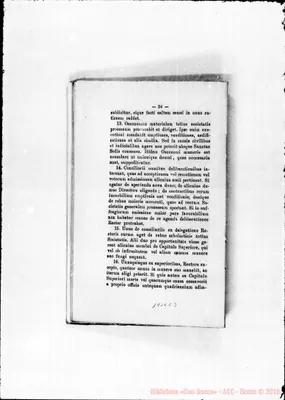 Fotogramma C 3