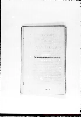 Fotogramma D 10