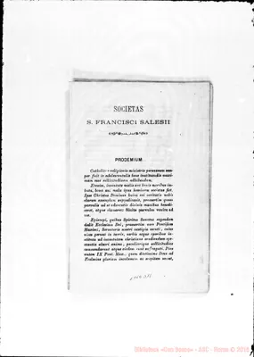 Fotogramma D 11