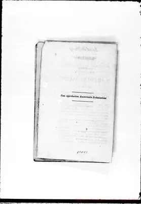 Fotogramma C 2