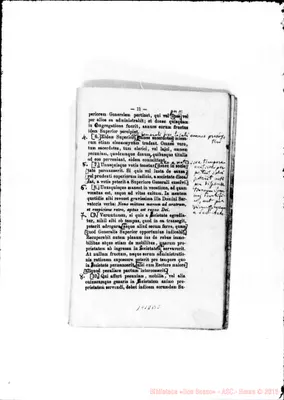 Fotogramma B 2