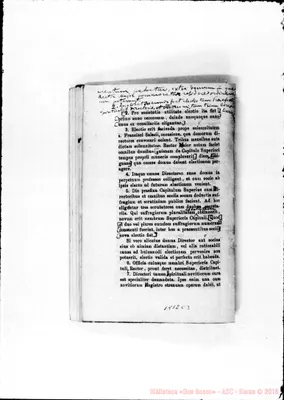 Fotogramma C 3