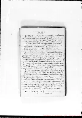 Fotogramma D 5