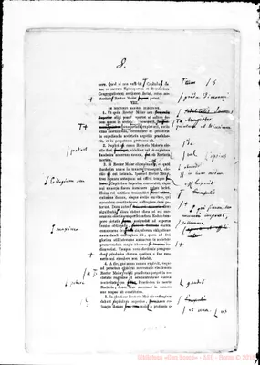 Fotogramma E 7