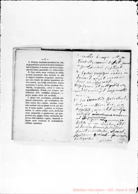 Fotogramma A 11