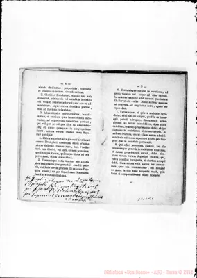 Fotogramma B 1