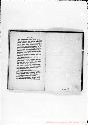 Fotogramma B 4