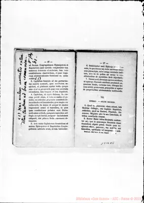 Fotogramma B 8