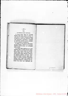 Fotogramma B 11