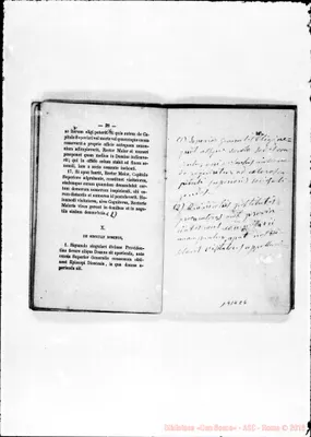 Fotogramma C 6