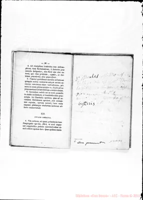 Fotogramma D 1