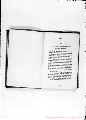 Fotogramma D 6