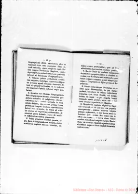 Fotogramma D 7