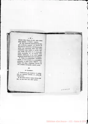 Fotogramma D 10