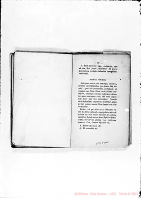 Fotogramma D 11