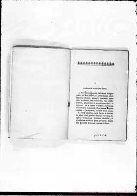 Fotogramma E 4