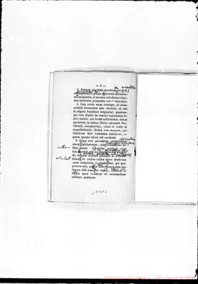 Fotogramma E 5