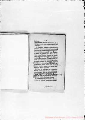 Fotogramma B 2
