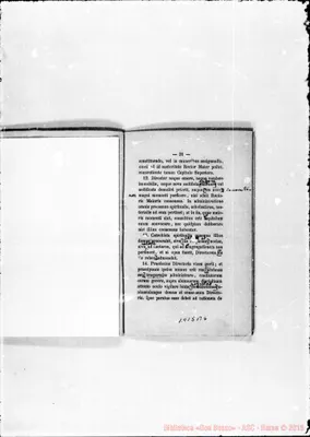 Fotogramma B 6