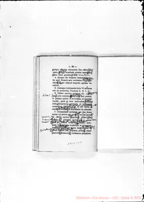 Fotogramma B 11