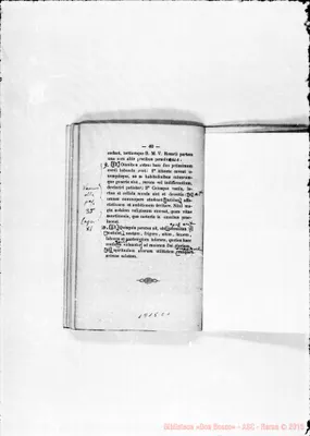Fotogramma C 1