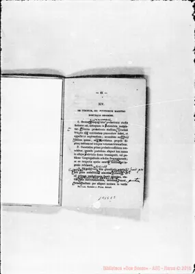 Fotogramma C 2
